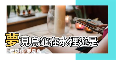 夢到ㄨ龜|夢見烏龜